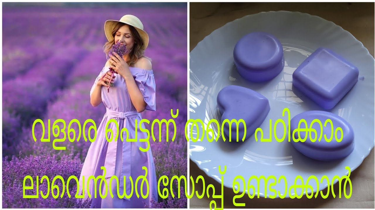 Come if you want to learn how to make lavender soapലാവെൻഡർ സോപ്പ് ഉണ്ടാക്കുന്നത് എങ്ങനെയെന്ന്