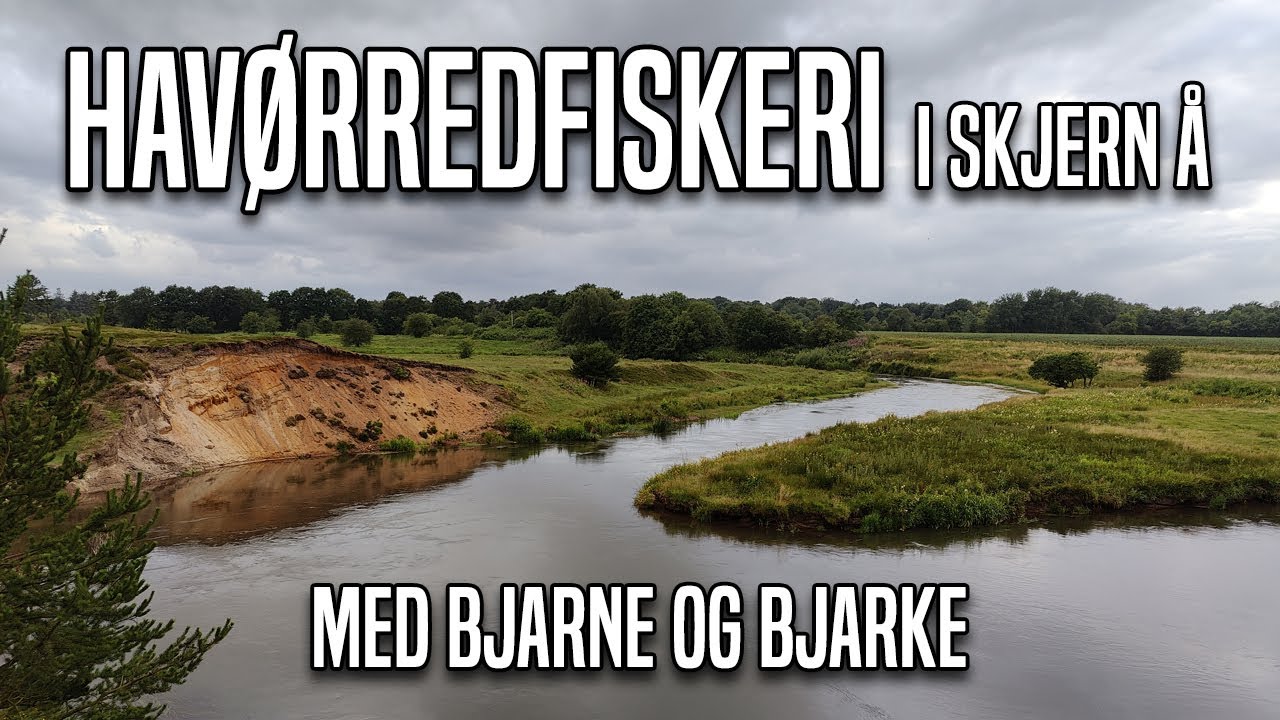 Havørredfiskeri i Skjern Å