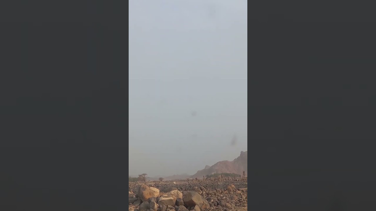 رشيدحنيفان الرشيدي جديد 