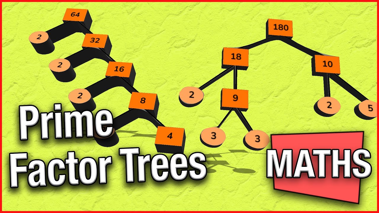 Types of Numbers and Prime Factor Trees