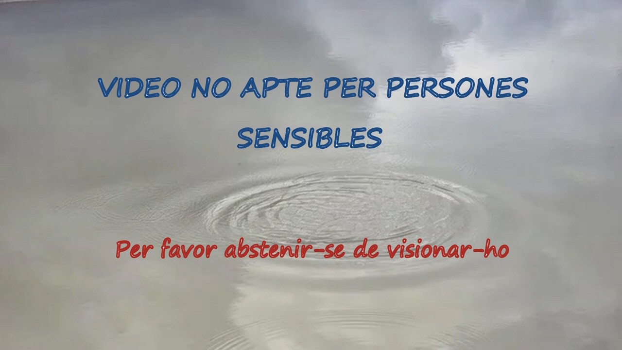 No hi ha voluntat d'acabar amb la Guerra