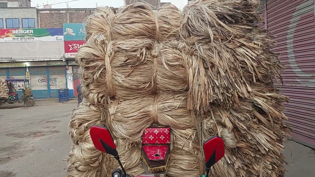 রমযানের ২য় দিনে চাঁচকৈড় হাটে পাটের ব্যাপক চাহিদা | আজকের বাজার ২০.০২.২৬