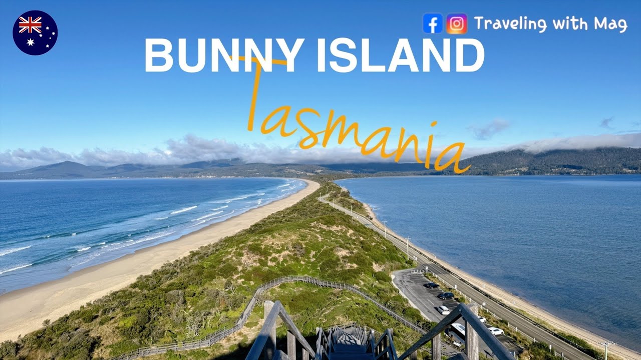 Tasmania塔斯｜Bruny Island 布魯尼島｜必吃生蠔🦪