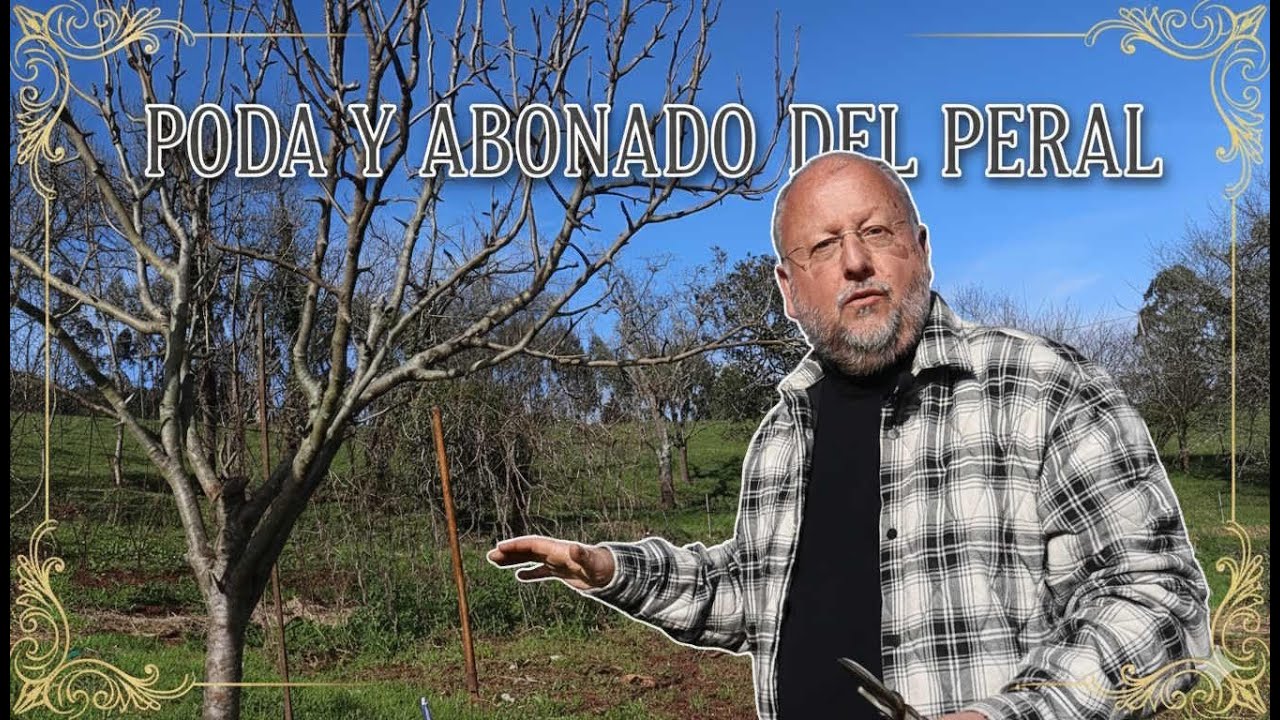 Poda del PERAL y Abonado.🍐✂️