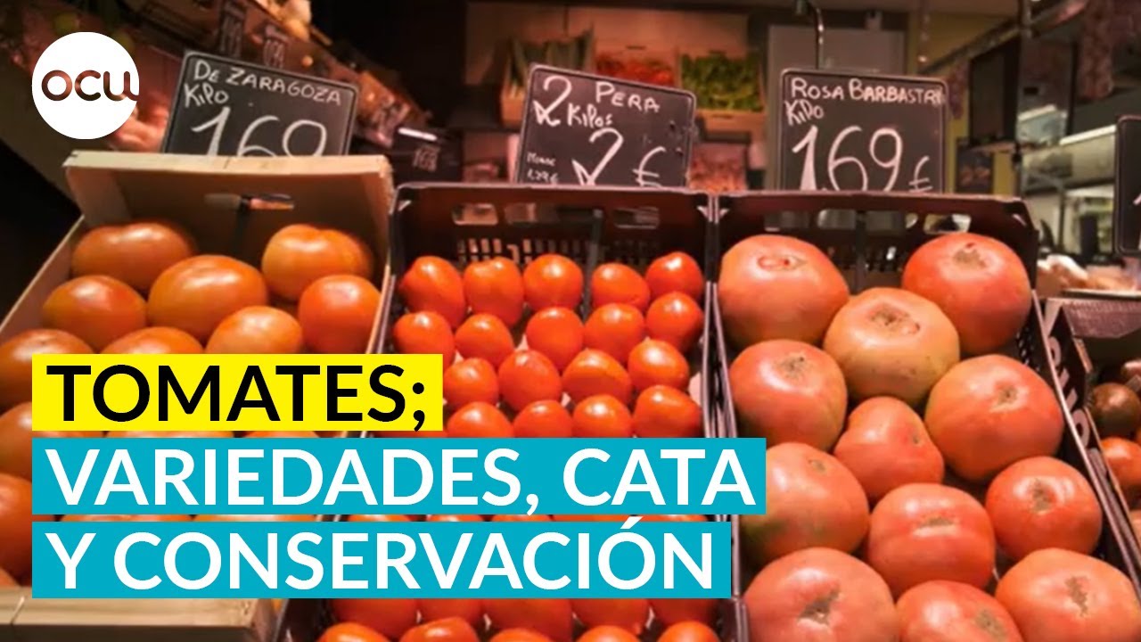 🍅Todo lo que debes saber sobre los tomates: propiedades, variedades y temporada