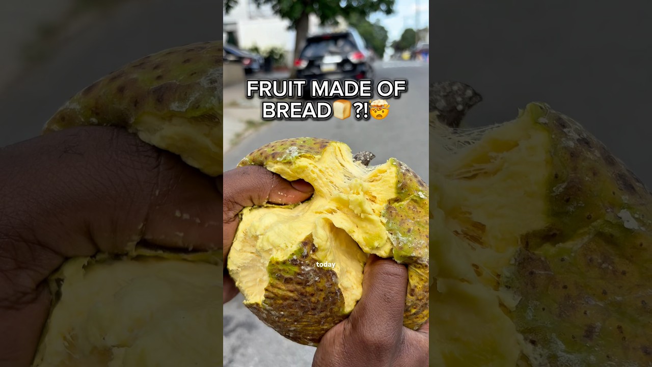 FRUIT THAT TASTES LIKE BREAD🤯