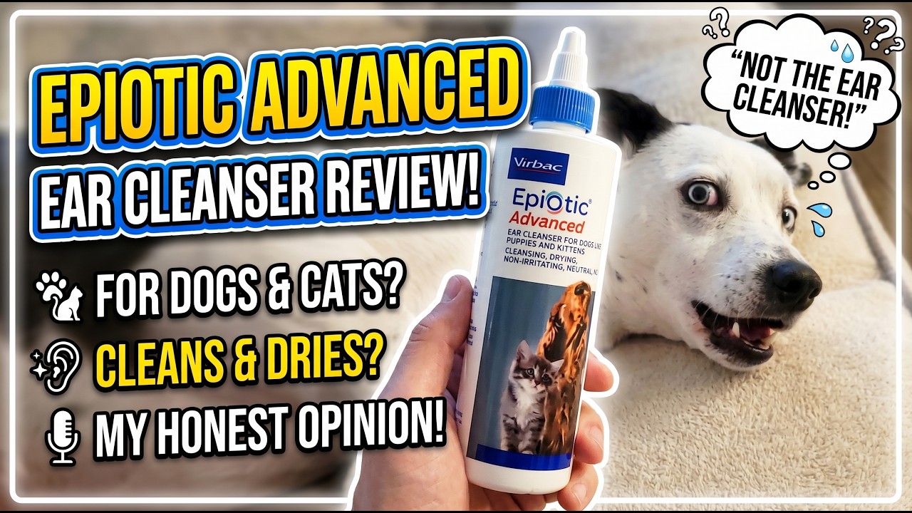 Reviewing EpiOtic Advanced Ear Cleanser for Dogs and Cats