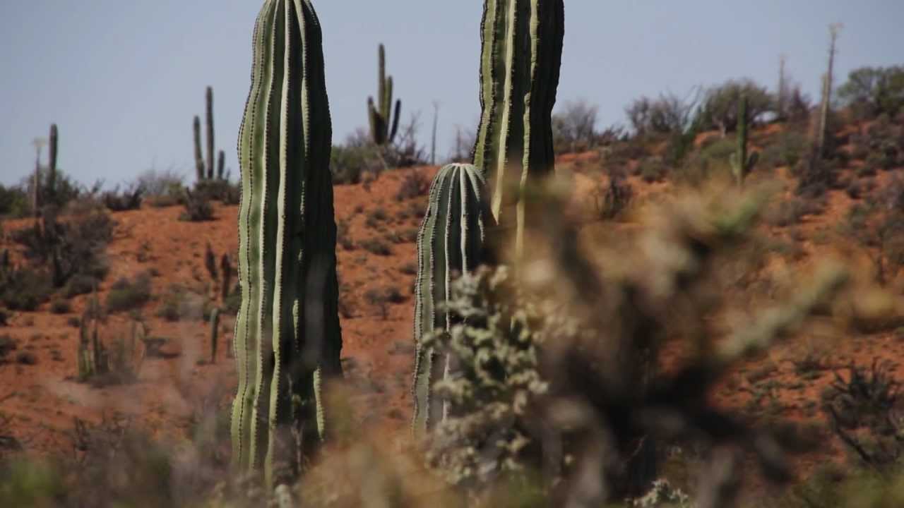 Baja Dirt Riders - Ride Baja 2013