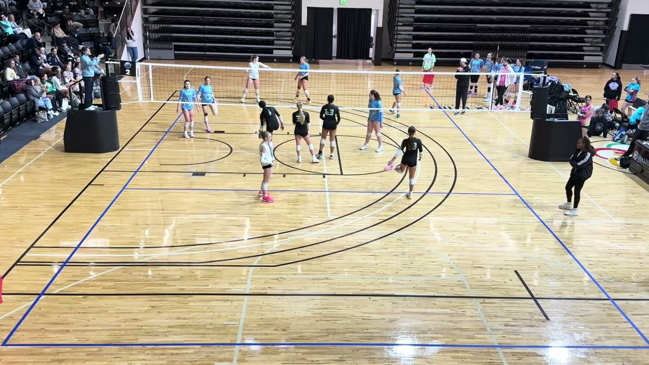 Next Level Volleyball Academy vs APVA 15 Capybara Game 4 - Set 2