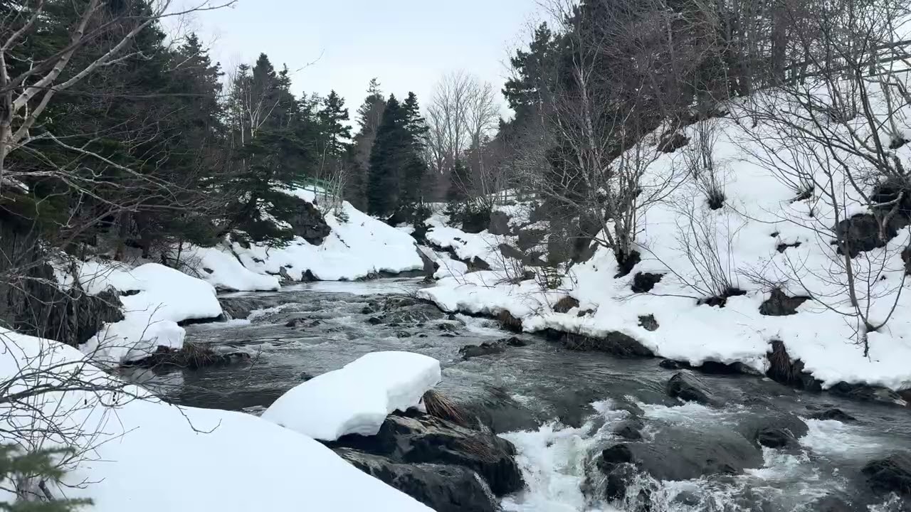 Beautiful Bowring Park in St John’s part 3 of 4. Waterfalls in the heart of St. John’s. 