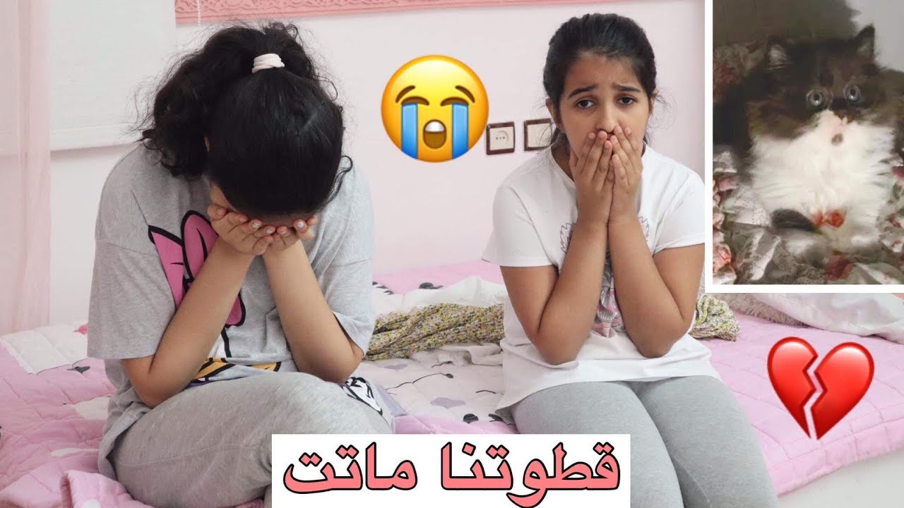 للأسف قطوتنا ماتت💔 وجا وقت اني اقول لهيا وهيفاء الخبر😔