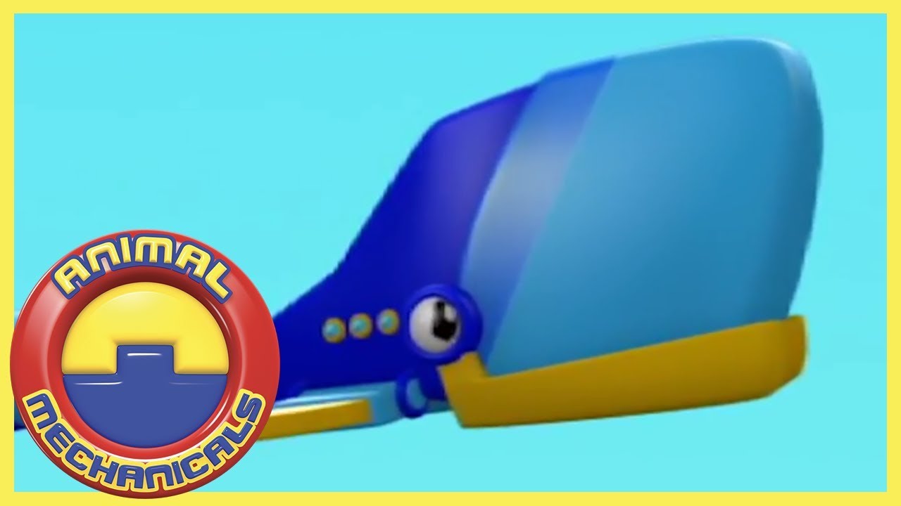 Whale Plane Island | Animal Mechanicals | Cartoons for Kids | WildBrain Zoo