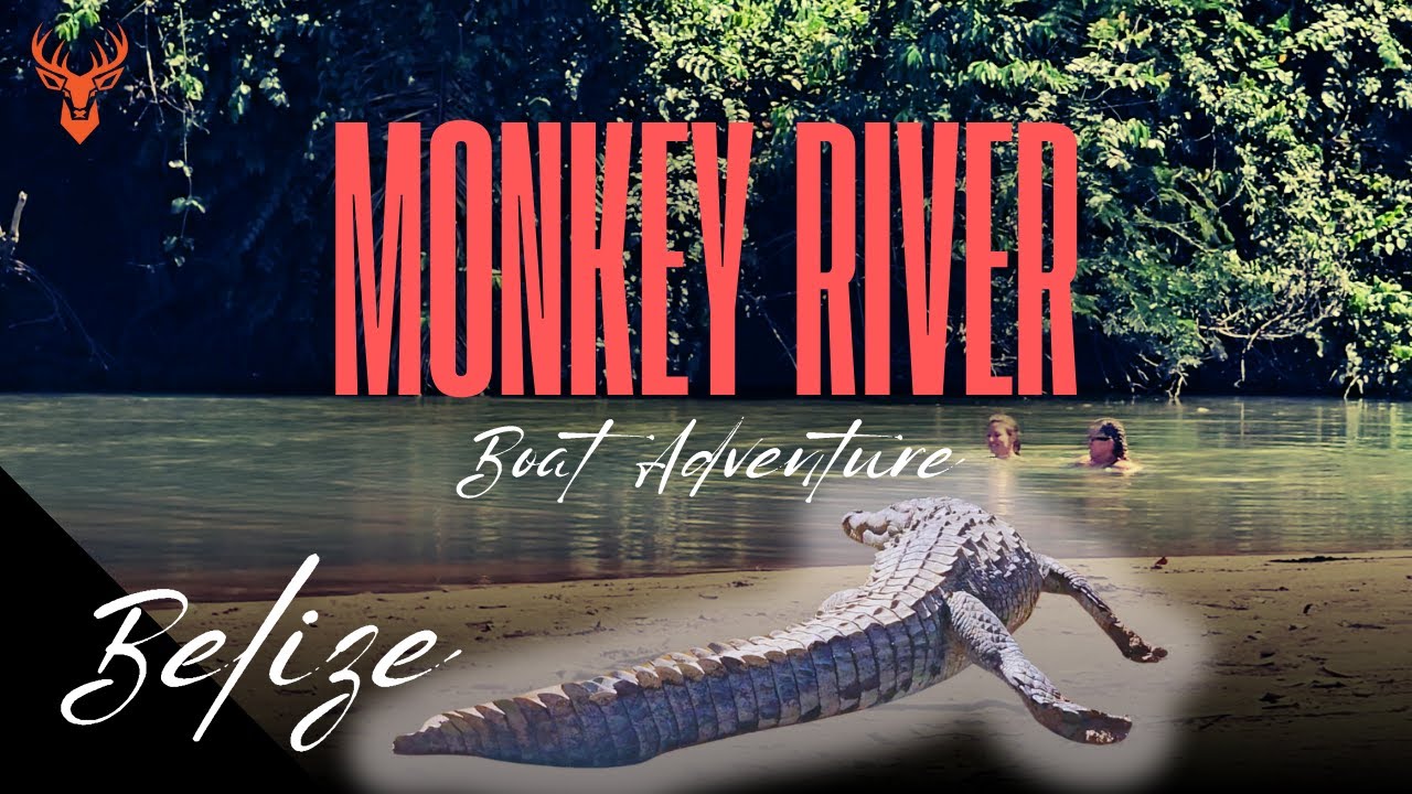 Crocodiles, Howler Monkeys, Manatees and MORE!  |  Monkey River Boat Adventure in Belize