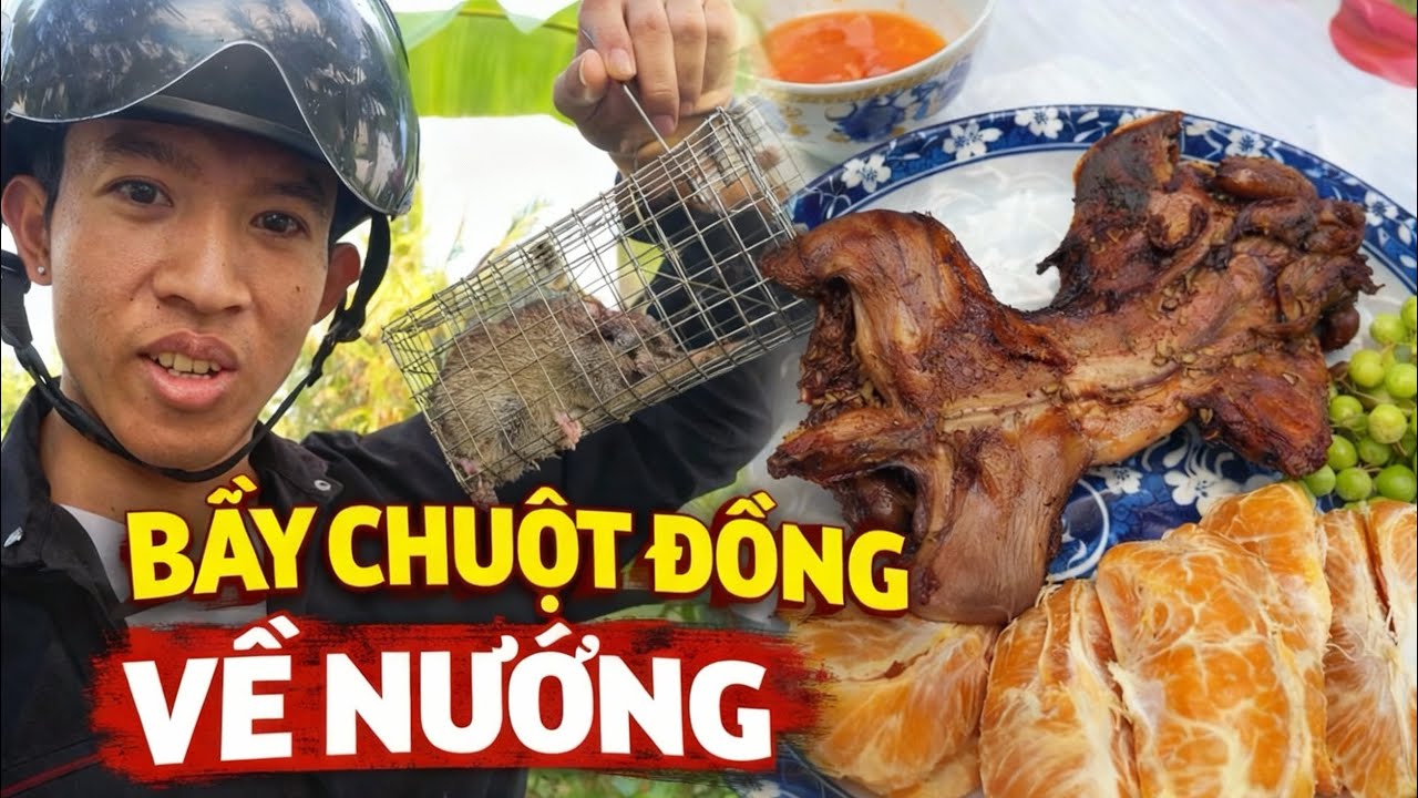 Bẫy chuột đồng về nướng ngon bá chấy 😋#chuotnuong #baychuotdong 