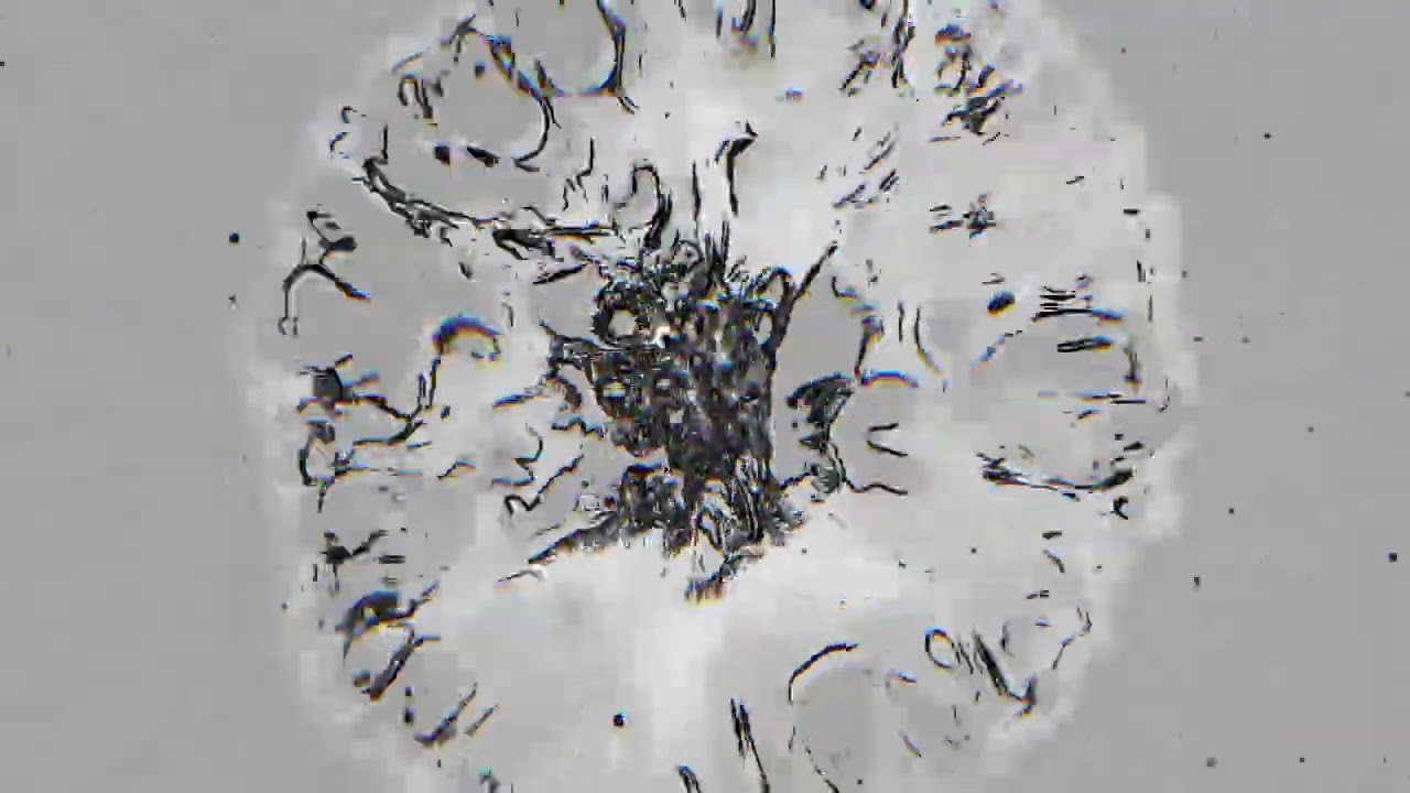 A.gorafobia - Sellos 