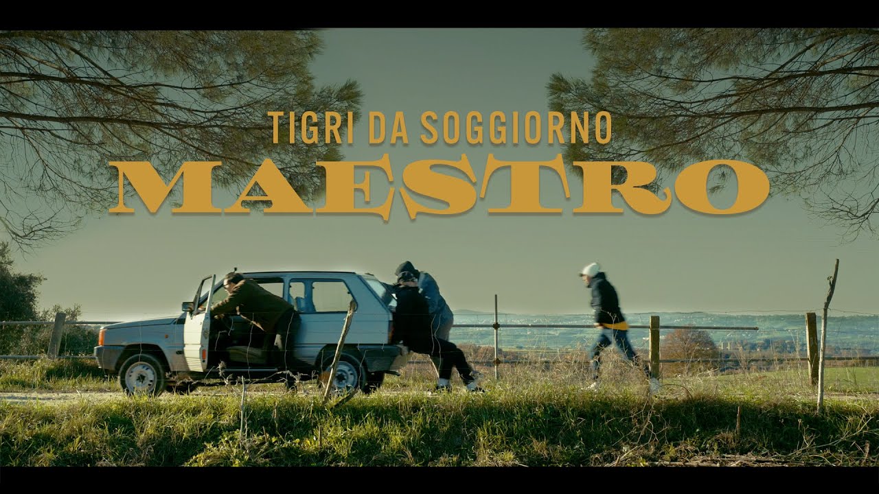 TIGRI DA SOGGIORNO - MAESTRO (OFFICIAL VIDEO)