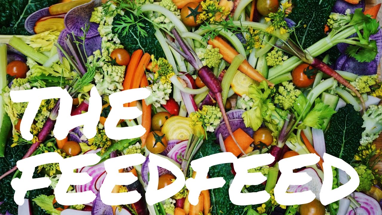 The FEED FEED meet up with Alessandra Taryn in Los Angeles, CA