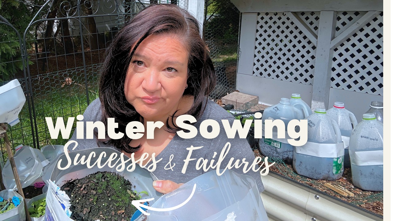 Winter Sowing Winners & Failures - Native & Annual Flowers