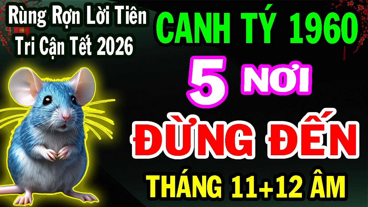 Canh Tý 1960 – 2 Tháng Cuối Năm 2025: 5 Nơi Tuyệt Đối Không Nên Đặt Chân Đến Để Tránh Phiền Phức!