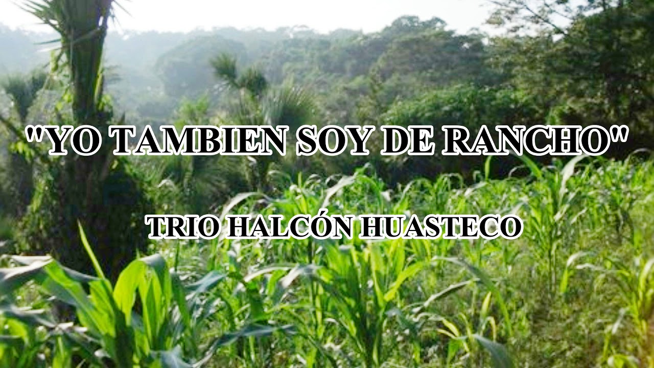 Yo tamb&iacute;en soy de rancho - Trio Halc&oacute;n Huasteco