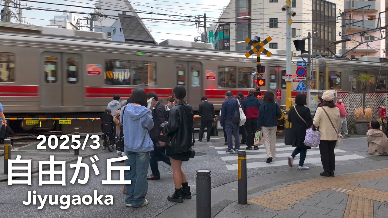 Weekend Walk in Tokyo: Jiyugaoka - 2025/3