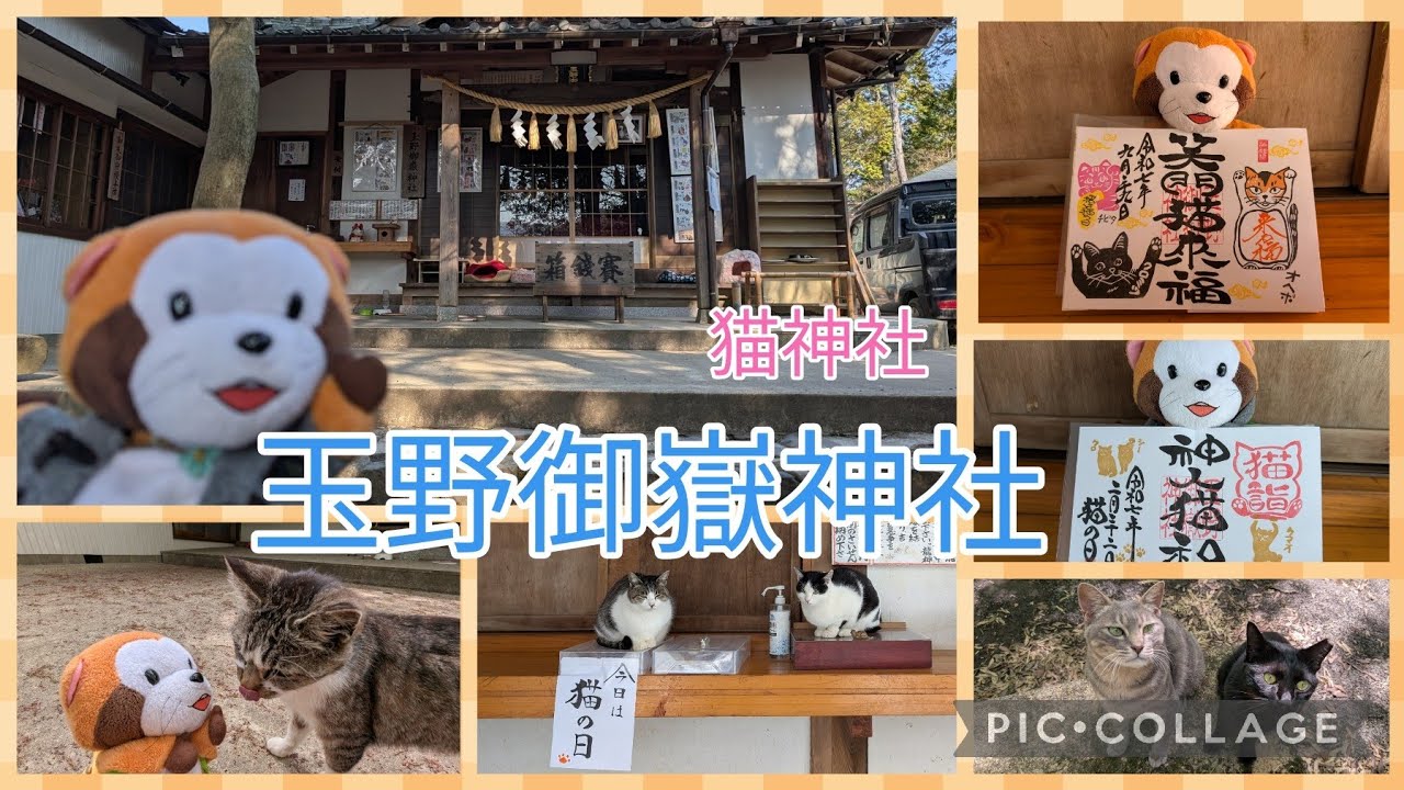 パペラスカルくん、猫神社「玉野御嶽神社」に月替わり猫御朱印を頂きに行く！♪#猫神社  #猫の日御朱印 #猫御朱印 #玉野御嶽神社 #ラスカル #パペット #ぬい活