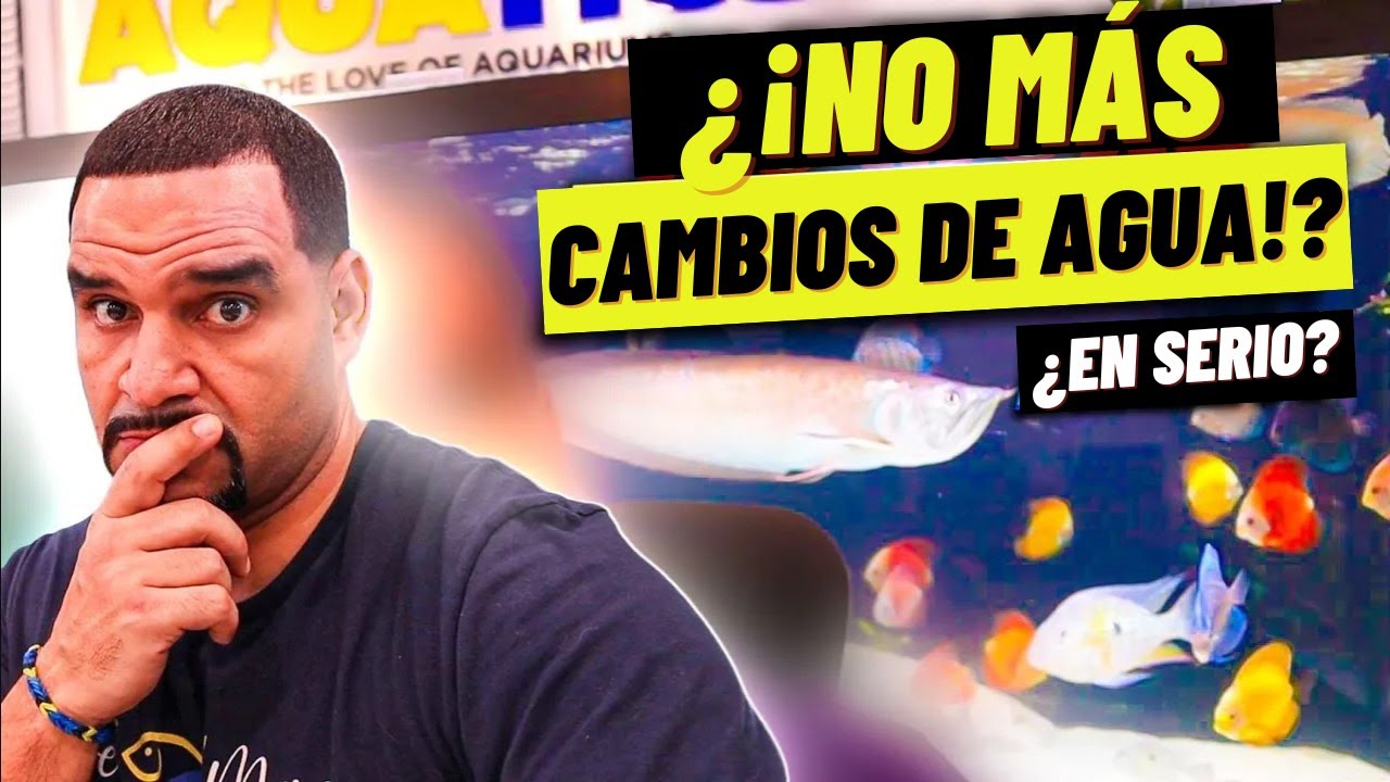 ¡El refugio de agua dulce REVOLUCIONA el cuidado del acuario!