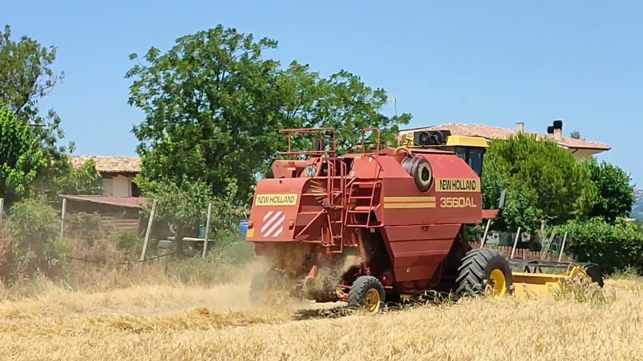 Trebbiatura, Grano Solina. Paglieta.