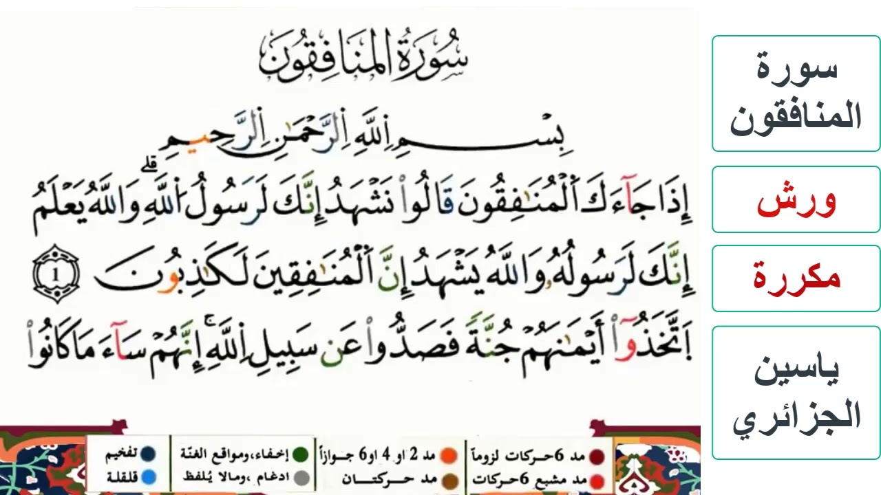 سورة المنافقون - ياسين الجزائري - ورش - مكررة