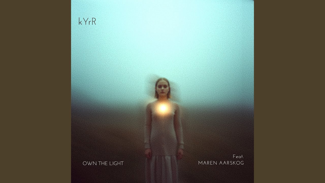 Own The Light