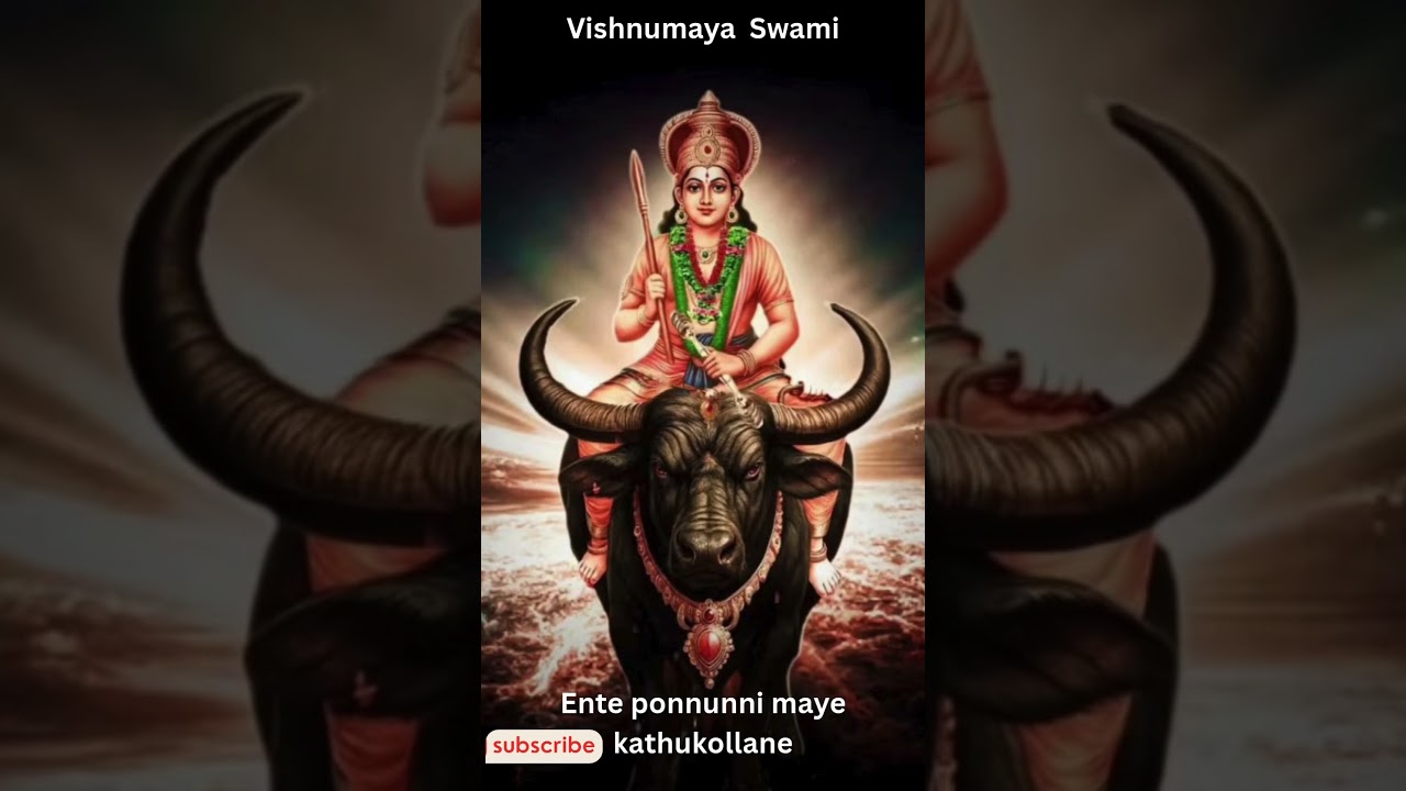 "Kerala Vishnumaya Swami Miracle | Divine Energy Experience" 