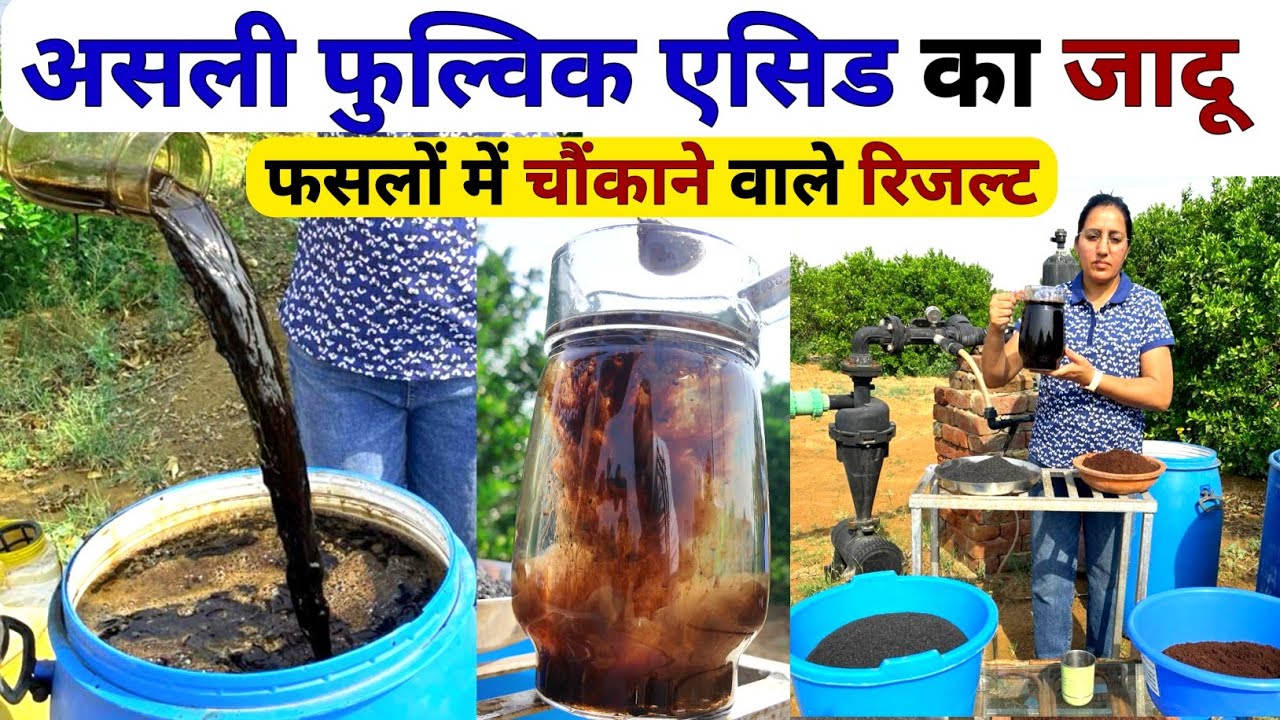खेती में फुल्विक एसिड और ह्यूमिक एसिड का सही उपयोग | fulvic acid fertilizer | high power fertilizer