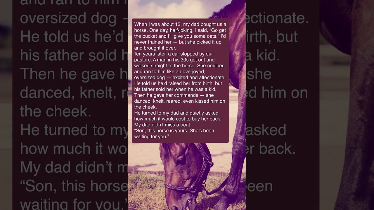 The Story of a Horse and Her True Owner ✍ Check out this story: Part #42