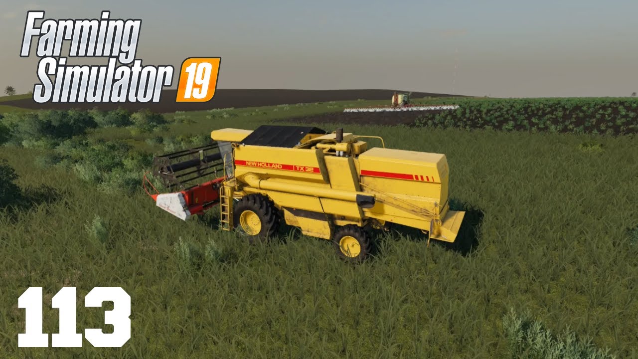 Farming Simulator 19 - GAMEPLAY - Vendendo a Amarelinha #113 60 FPS FHD