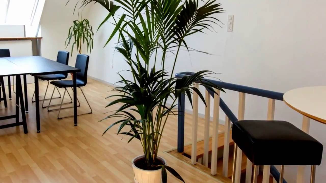 Coworking Bern Zentrum | Shared office space Switzerland