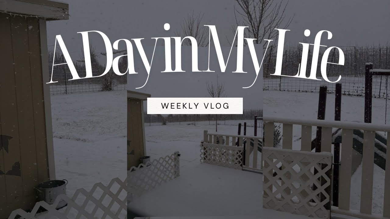 Day in my life as a SAHM ONLINE UNI STUDENT 