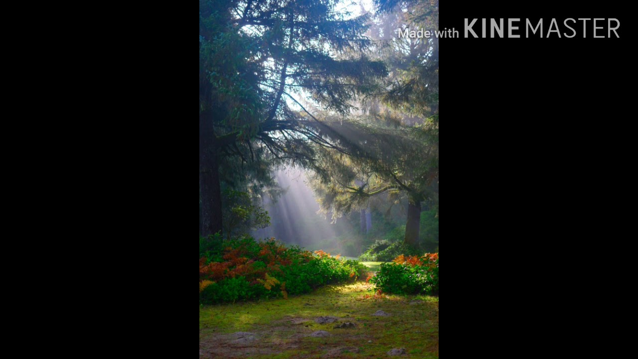 12 mins. of Soft Music, Meditation, Relaxing Music