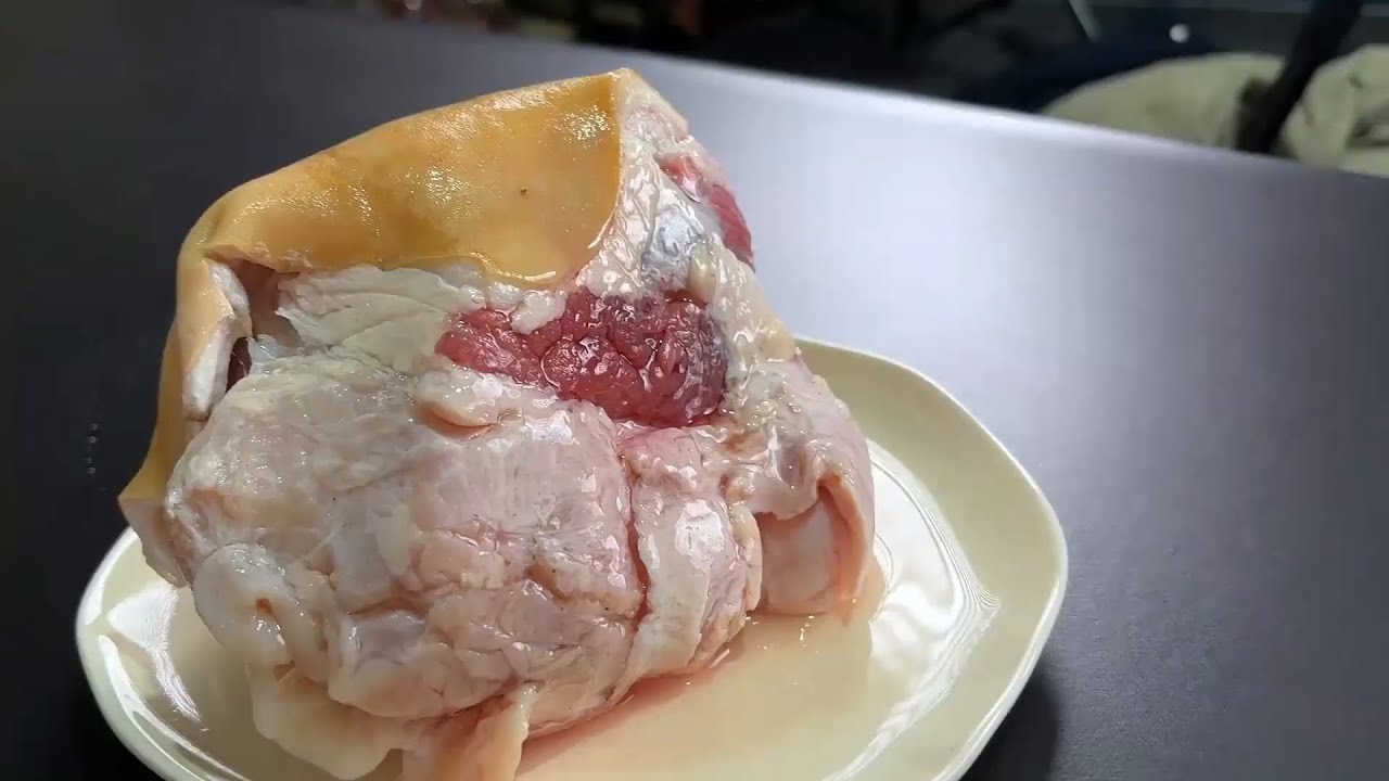 粉丝来了做猛货，这货猛不猛我一烤就知道!