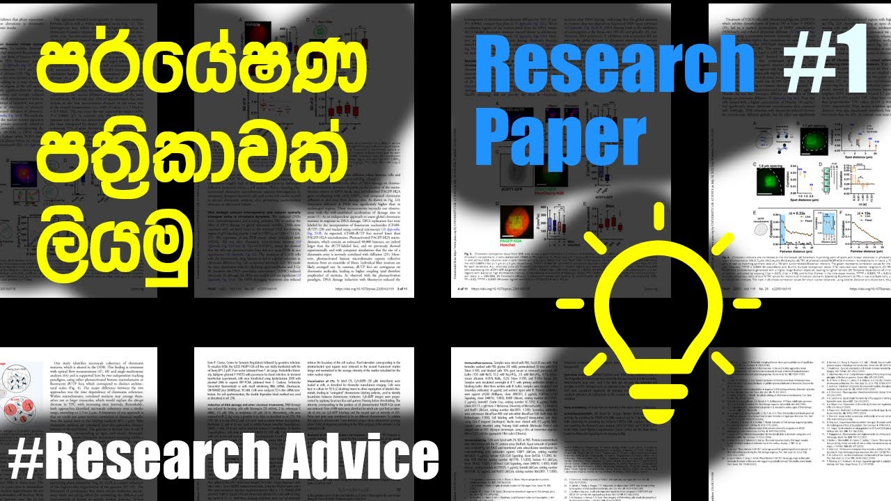 පර්යේෂණ පත්‍රිකාවක කොටස් මොනවාද? How to write a Research Paper Sinhalen #1  Parts of a paper