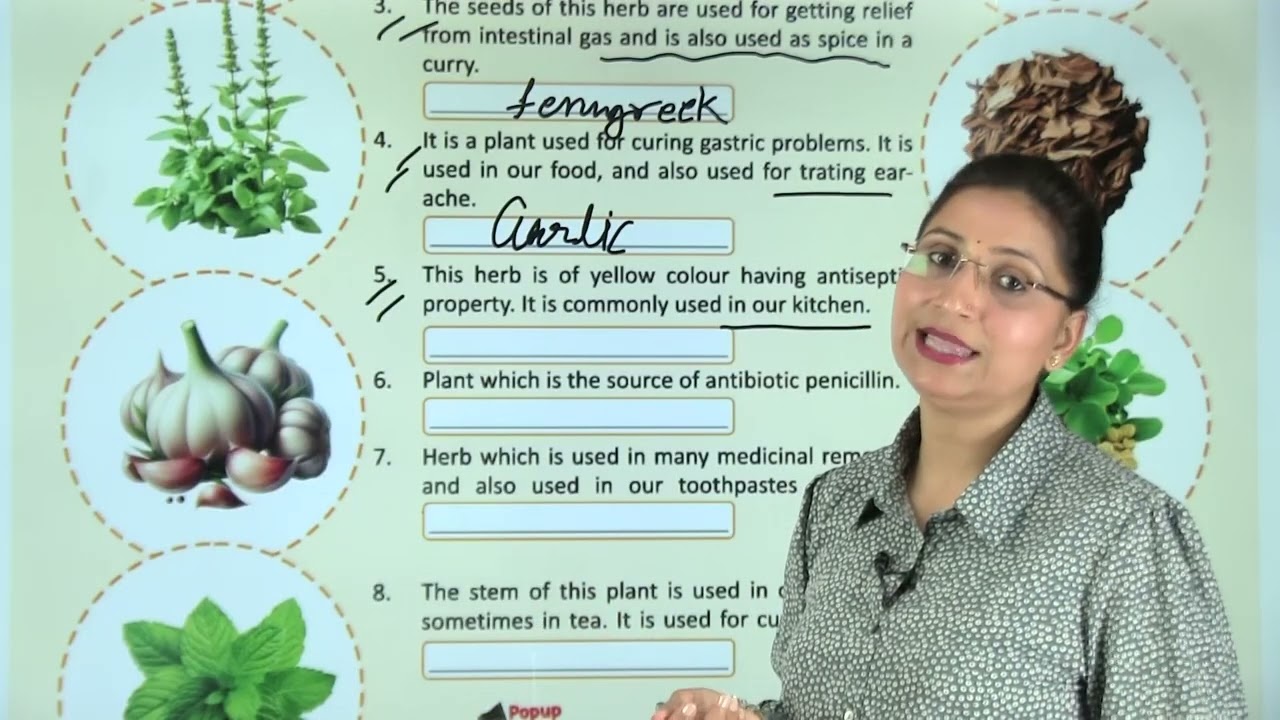 Ch 24 | Medicinal Plants | My Gk & Moral Book | Class 05 | Growing Mind | For children