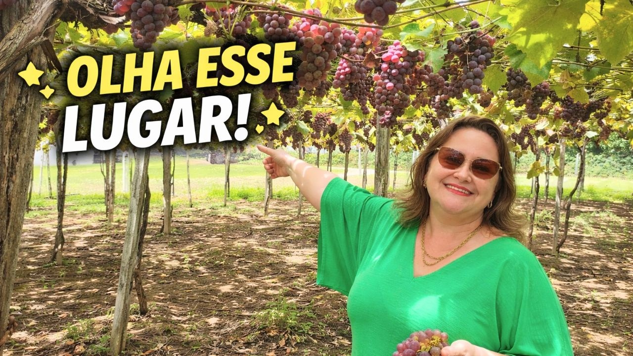 Um Dia Inesquecível no Interior da Serra Gaúcha | Natureza e Vida Simples