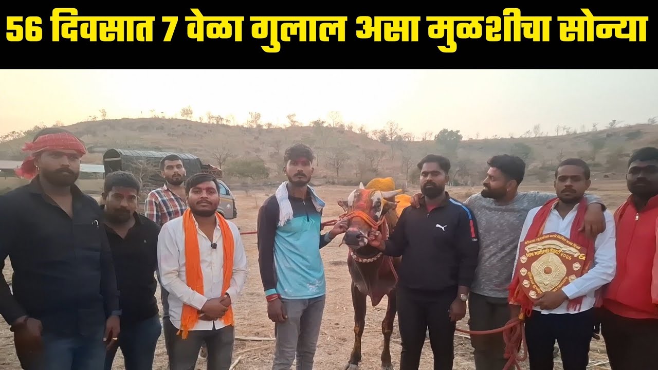 मुळशीकरांचा सोन्या पुन्हा एकदा गुलाल...