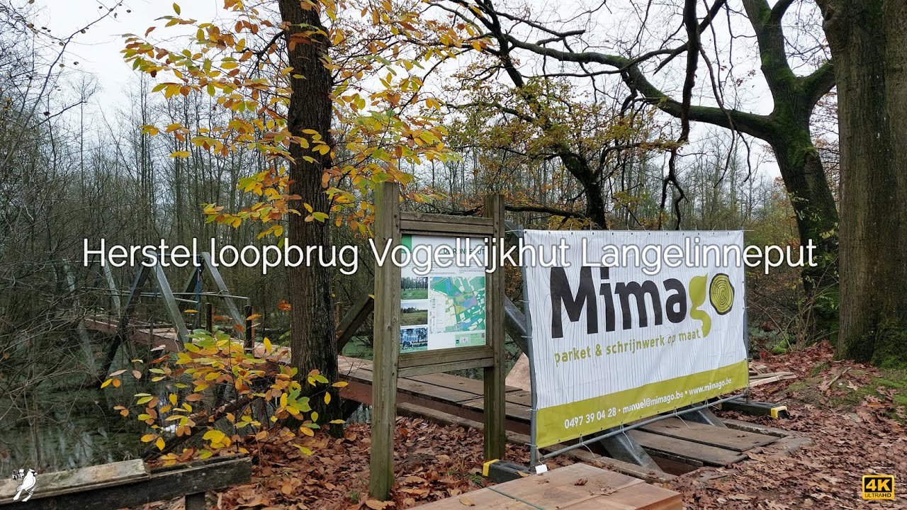 Herstel loopbrug Vogelkijkhut Langelinneput