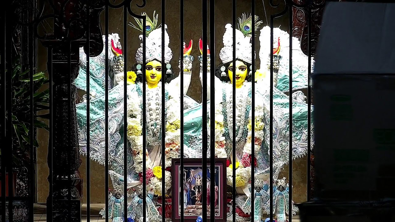 Morning Darshan