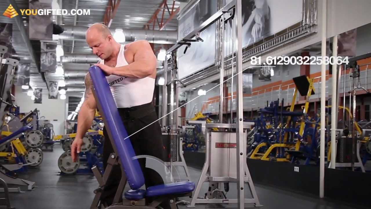 Упражнения для плеч. Жим гантелей сидя.