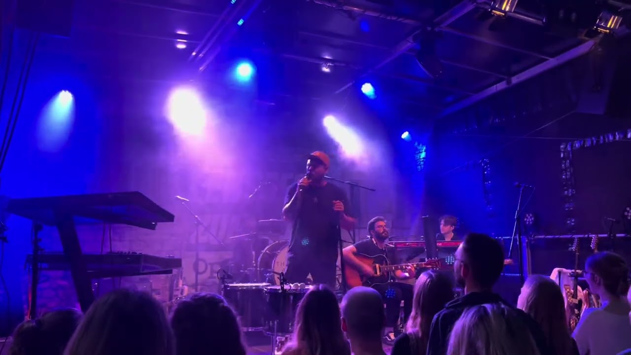 The Gardener & The Tree - Rebel of the Night (Live in Mainz)