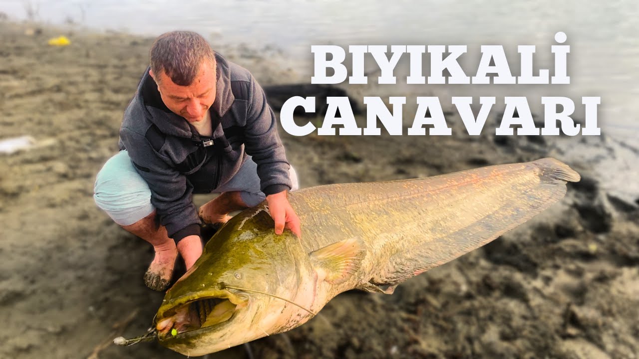 TEKİRDAĞ-BIYIKALİ CANAVARI YAKALANDI | SAZAN KOKU ALIR MI ? | HOBİDAŞLARLA SOHBET