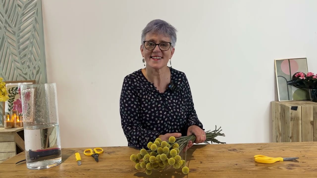 How to Care for Craspedia (Billy Buttons) | Conditioning Tips & Floristry Advice