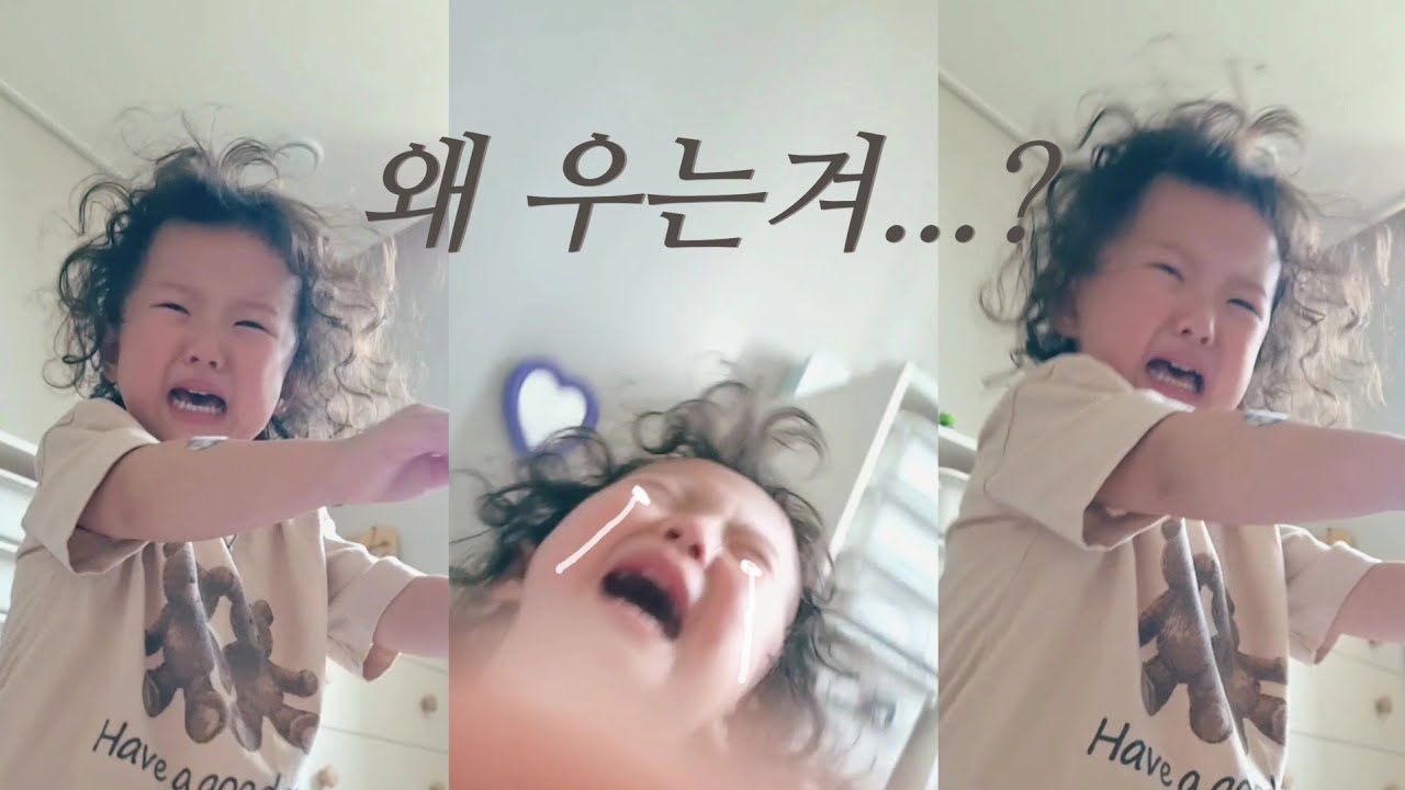 [육아브이로그] 혹시 왜 우는 겨..? | 오랜만에 시골가기🌳| 펫시터가 되어가는 연두🐕‍🦺 | 김연두 갈색 에디션🤎| 내머리~제로머리🦲✨ | 39개월 아기 브이로그