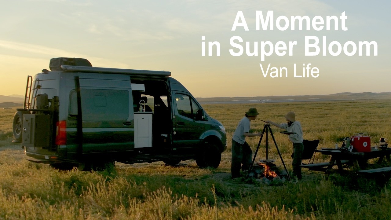 Back to Van Life After 9 Weeks, Camping in the Best Super Bloom in a Decade | California | Hipcamp